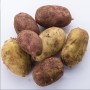 Fresh Potatoes 1 Kg – White & Red Varieties