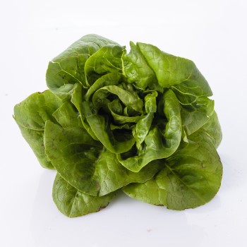 Salades fraîches beldi 1 unité – Variétés de saison Salades fraîches beldi 1 unité – Variétés de saison
