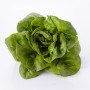 Salades fraîches beldi 1 unité – Variétés de saison