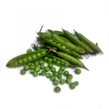 Petits pois bio Beldi – 1 kg