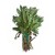 Fresh Organic Sage – 1 bunch