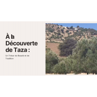 Taza : Un Joyau du Maroc