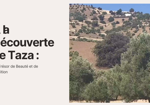 Taza : Un Joyau du Maroc