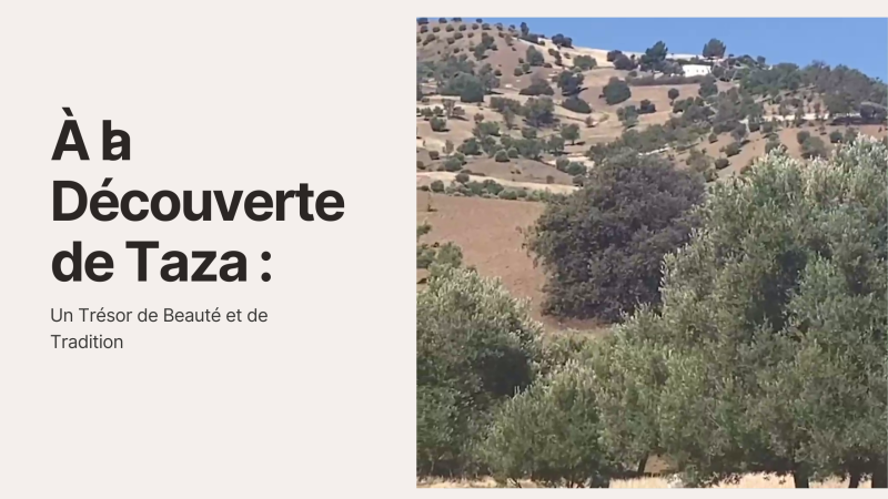 Taza : Un Joyau du Maroc