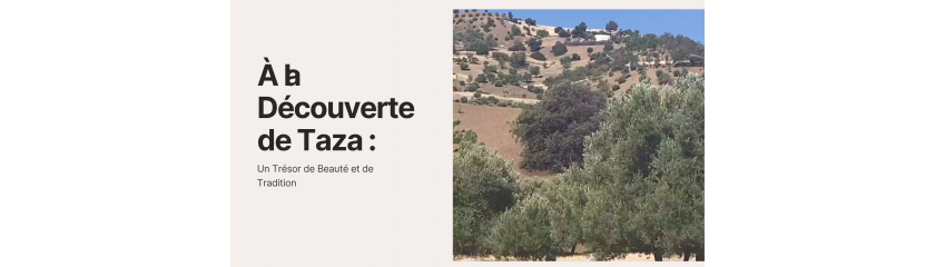 Exploration de Taza : Un Voyage au Cœur de la Beauté Naturelle et de l'Héritage Culturel Marocain
