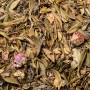 Organic Digestive & Calming Herbal Tea from Chefchaouen – Wild Herbs – 40 g